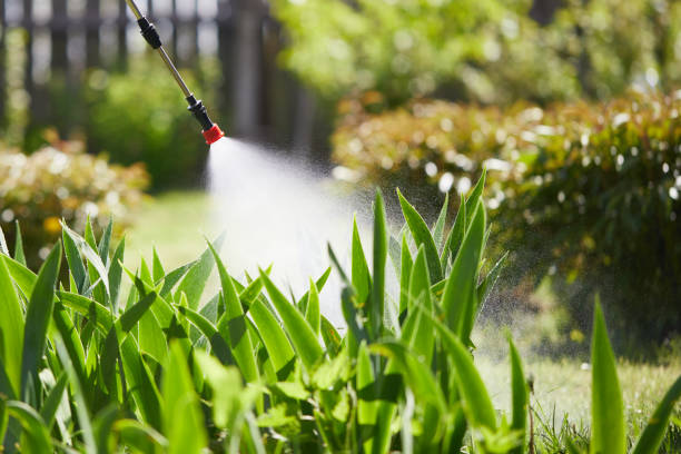 24/7 Emergency Termite Control experts in Euharlee, GA