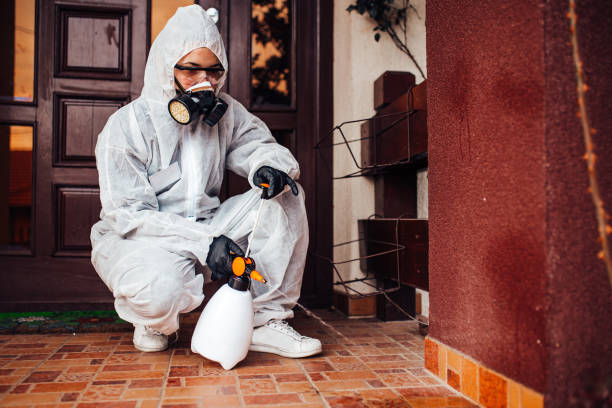 Reliable Termite Control contractor in Euharlee, GA by Nex Pest Control