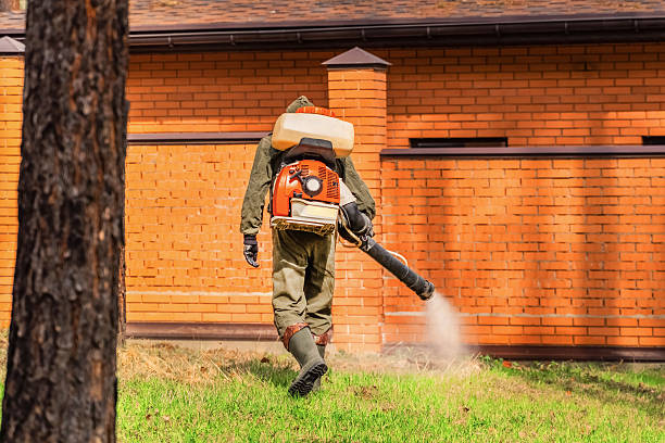 Top rated local Termite Control specialists in Euharlee, GA